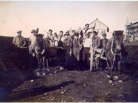Unnið við að grafa grunn að háskólabyggingu sumarið 1936
